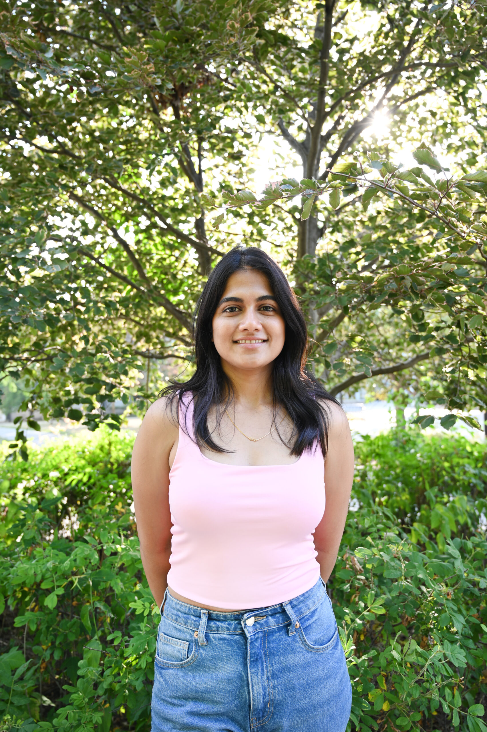 Lucio Facere Commemorassent Interesset Gloria